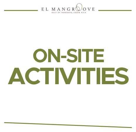 Marriot Actividades